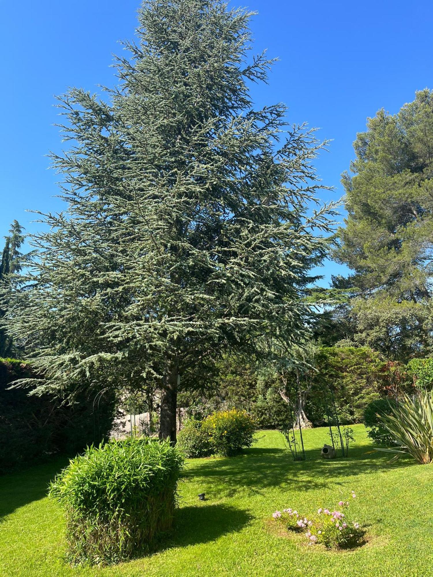 لو بوزيت Le Clos Serein المظهر الخارجي الصورة