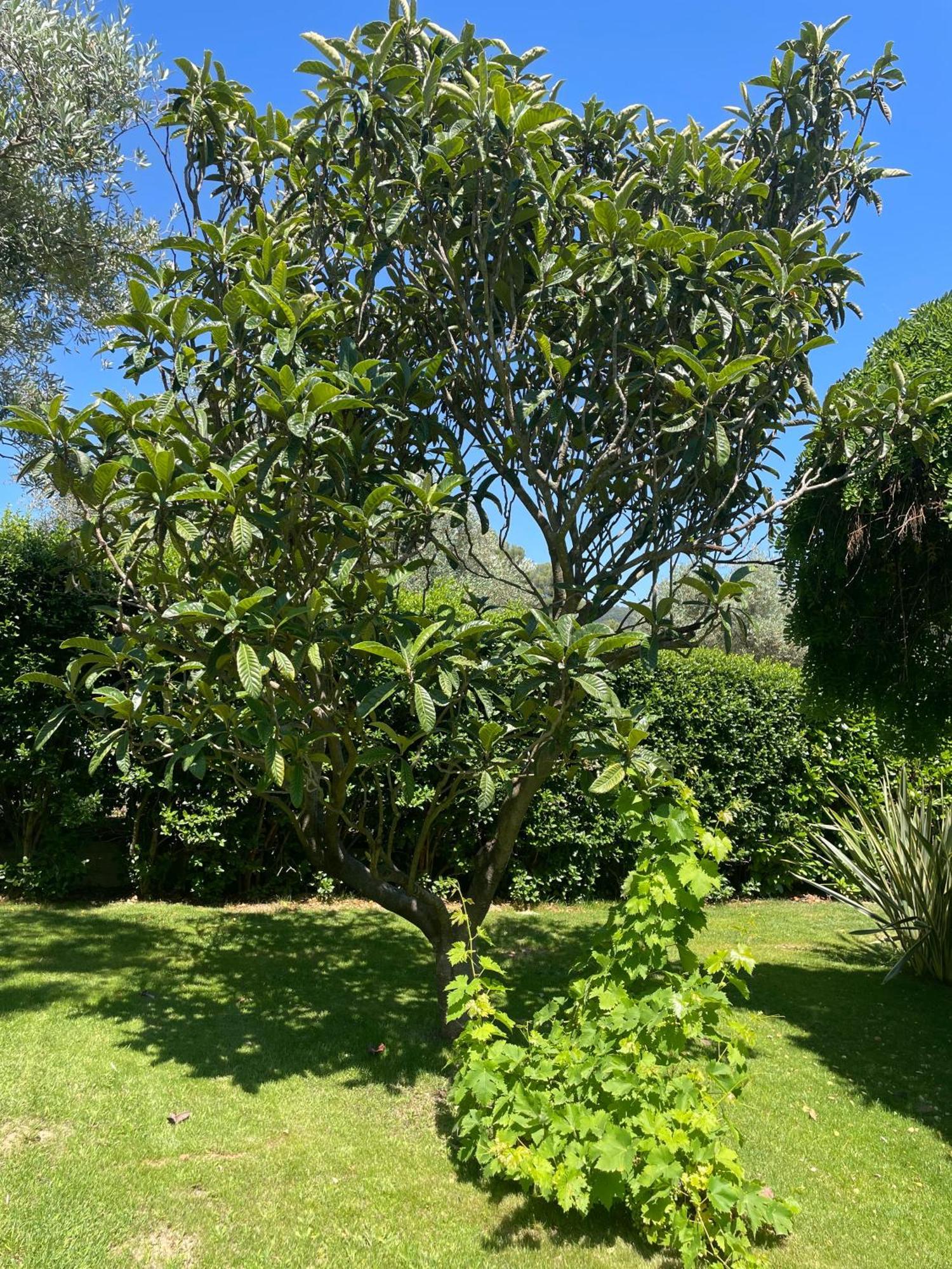 لو بوزيت Le Clos Serein المظهر الخارجي الصورة
