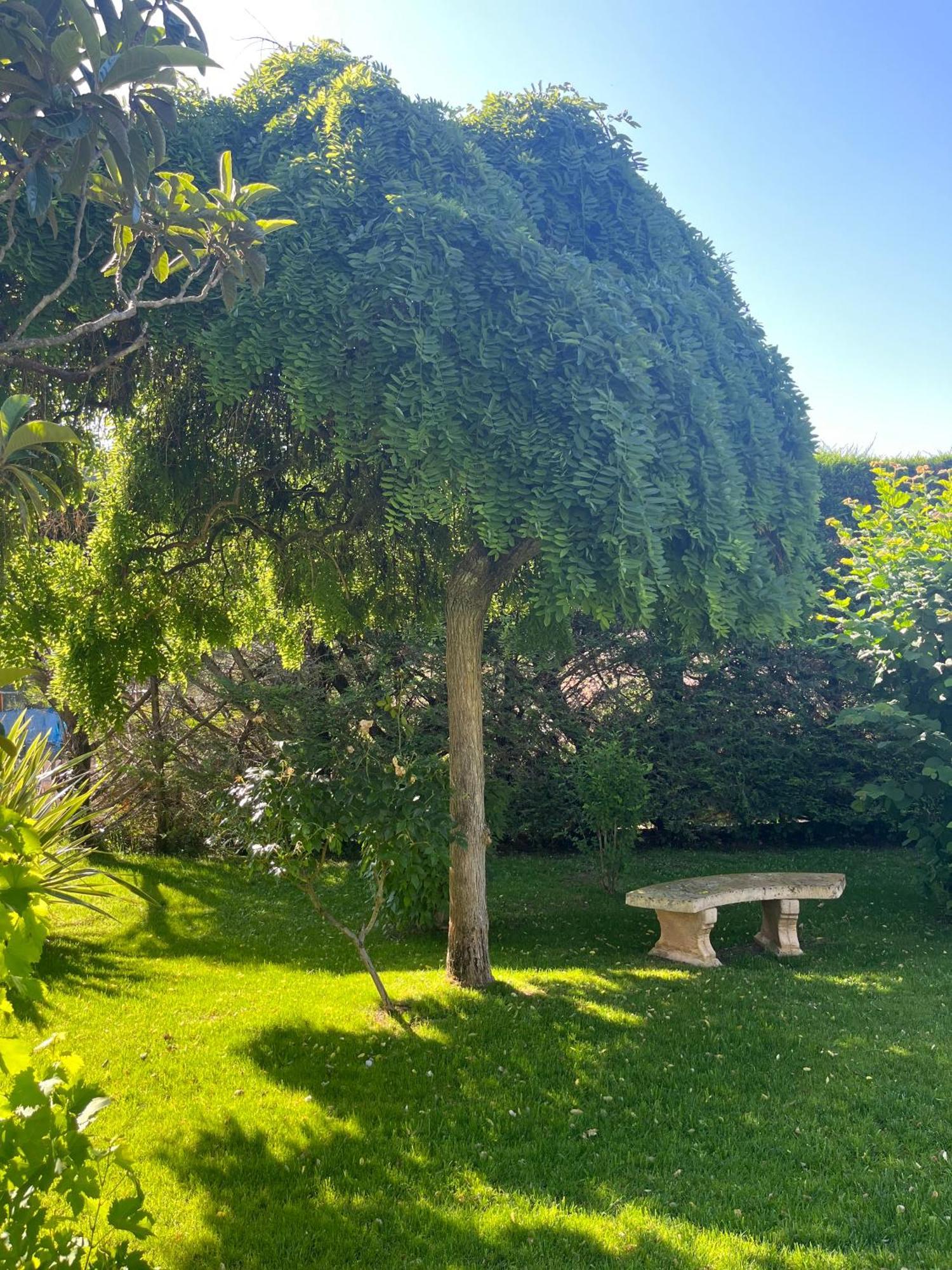 لو بوزيت Le Clos Serein المظهر الخارجي الصورة
